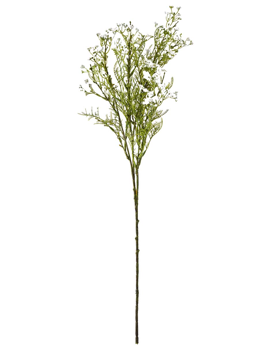 Gypsophila decorativa con acabado mate