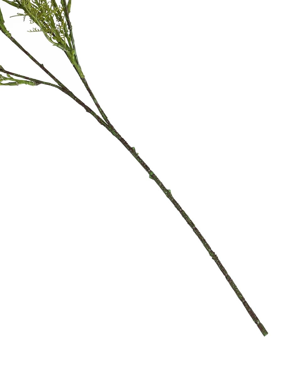 Gypsophila decorativa con acabado natural 3