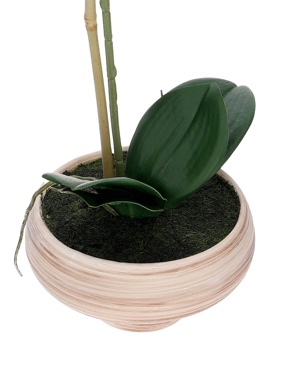 Preelaborado de orquídea 3
