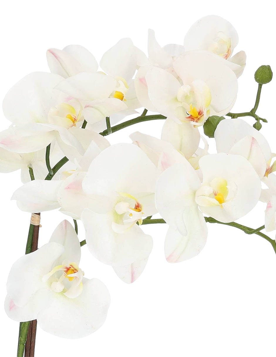 Preelaborado de orquídea 2