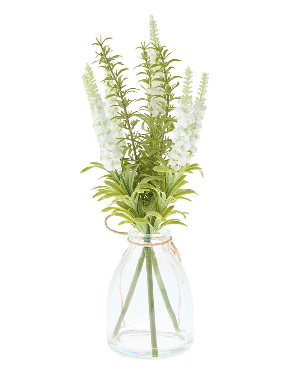 Preelaborado de lavanda