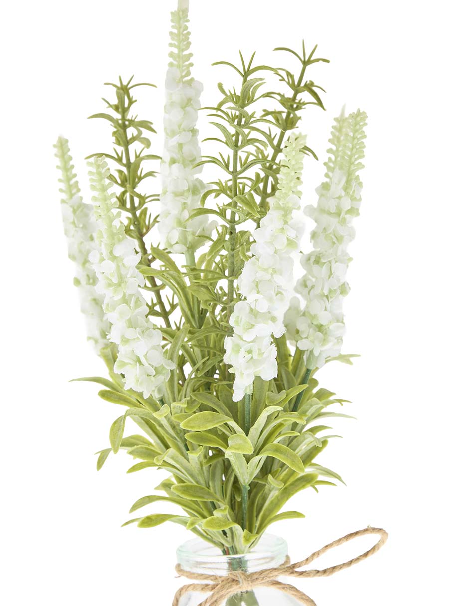 Preelaborado de lavanda 2