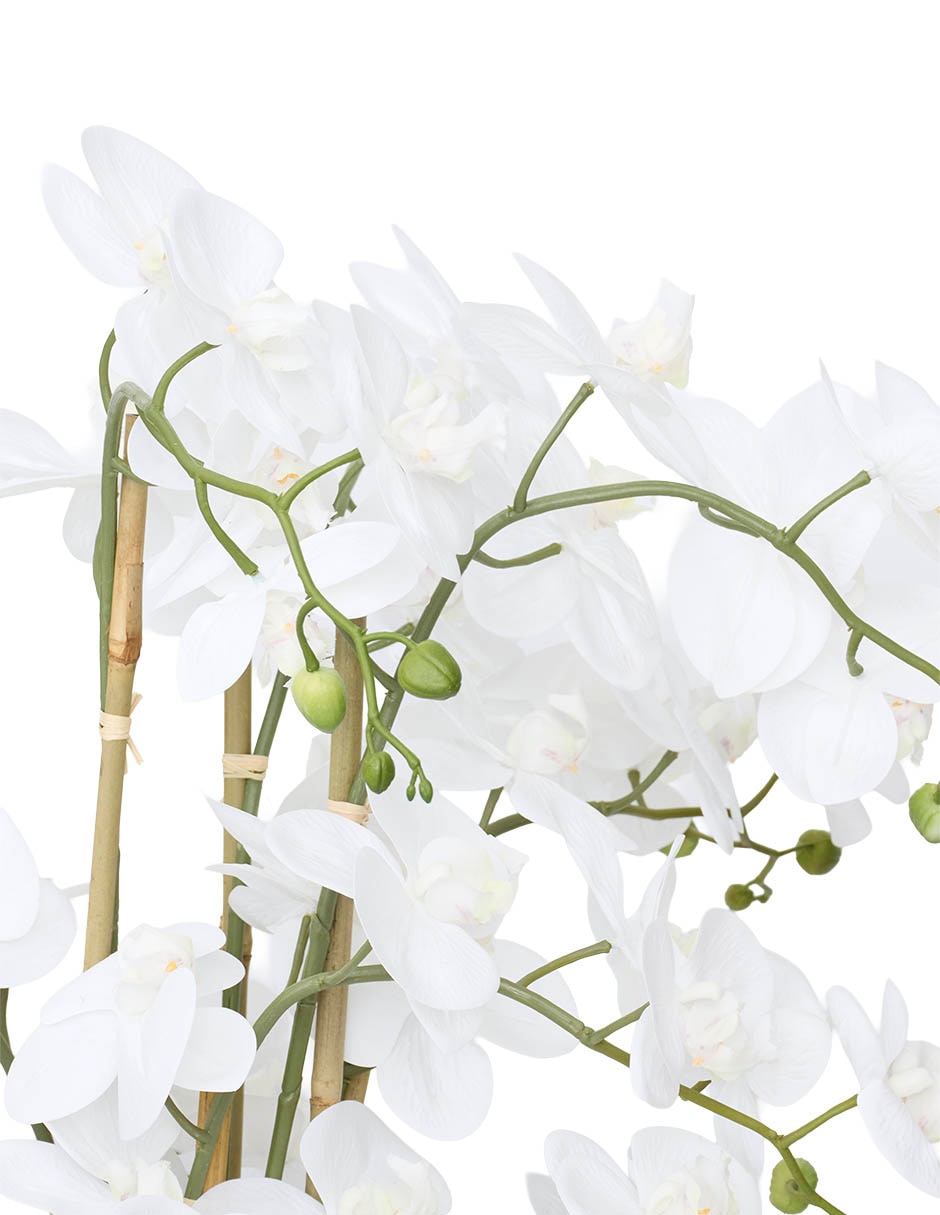 Preelaborado de orquídea 2