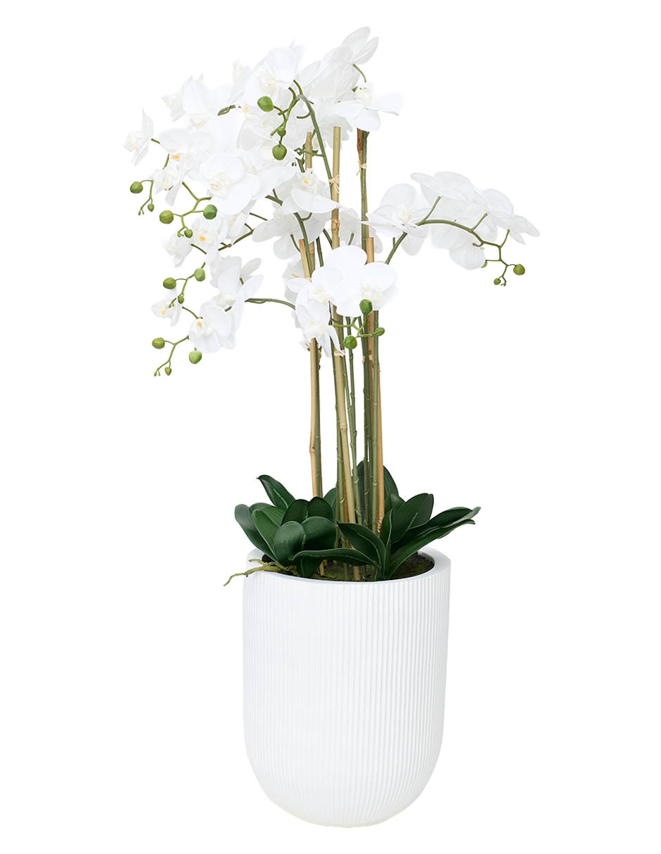 Preelaborado de orquídea 4