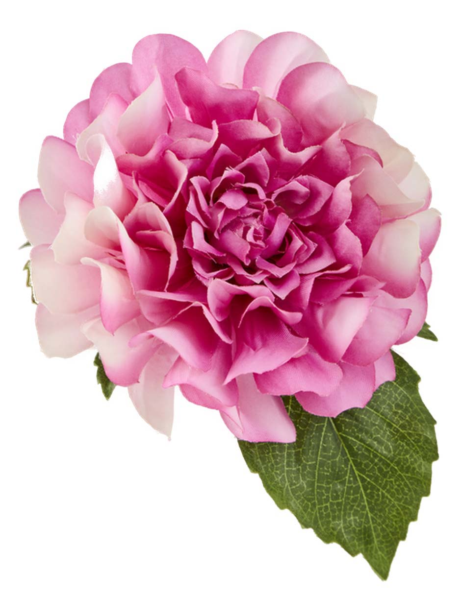 Dalia 3