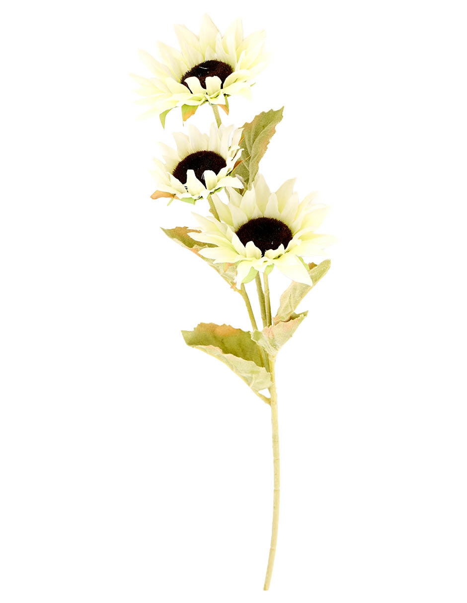 Flor de girasol 2