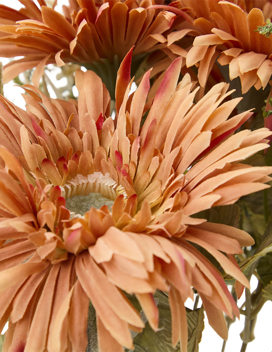 Ramo de gerbera 3