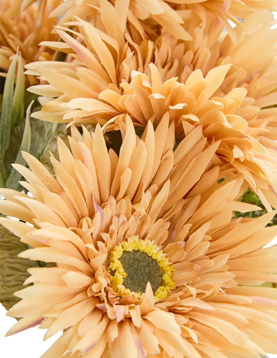 Ramo de gerbera 4