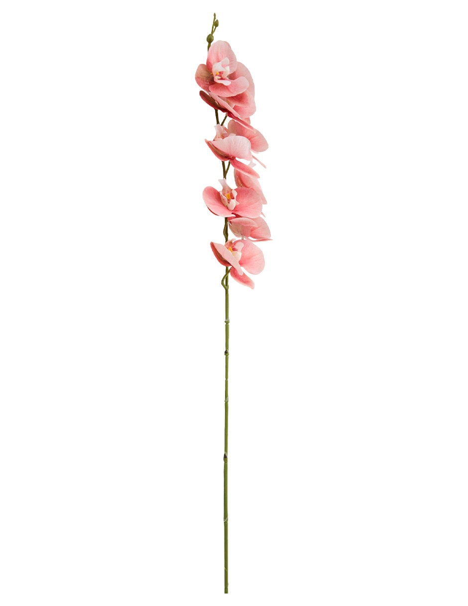 Orquídea 2