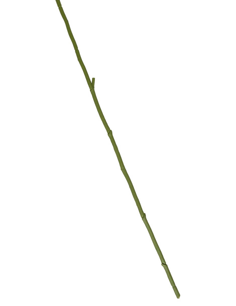 Orquídea 5
