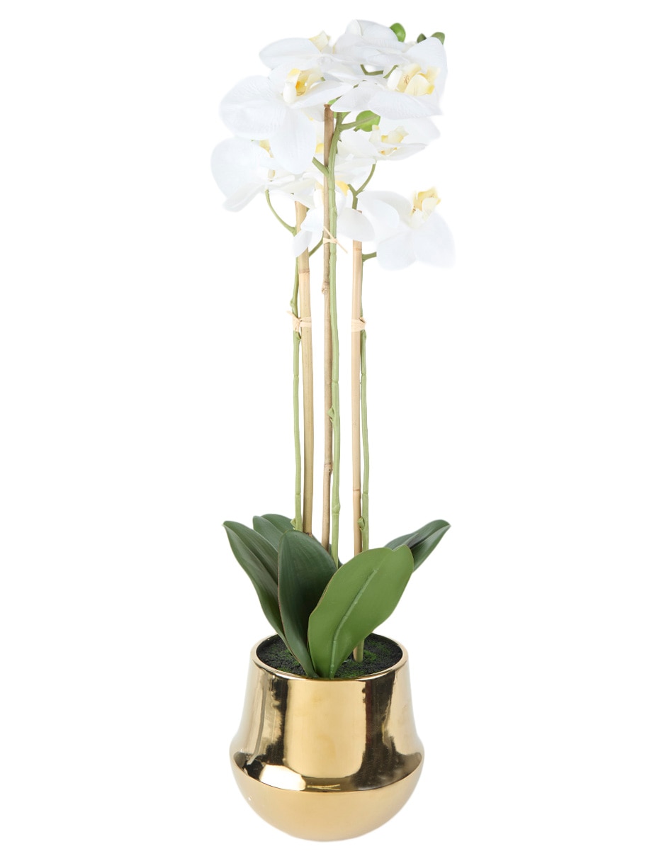 Preelaborado de orquídea 2
