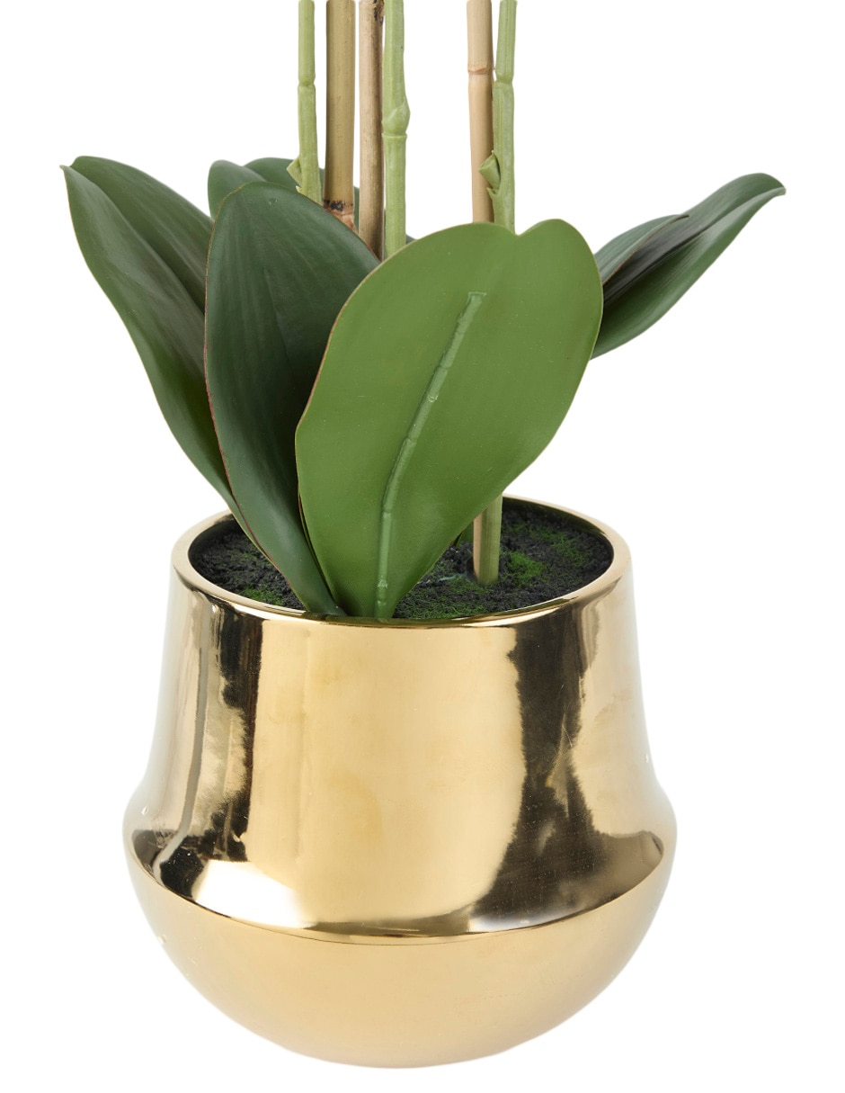 Preelaborado de orquídea 3
