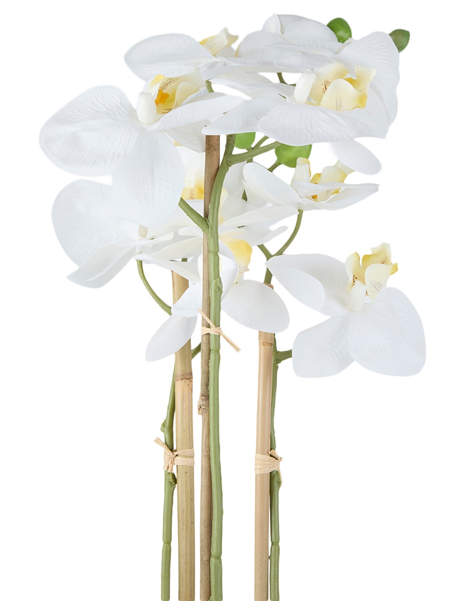 Preelaborado de orquídea 4