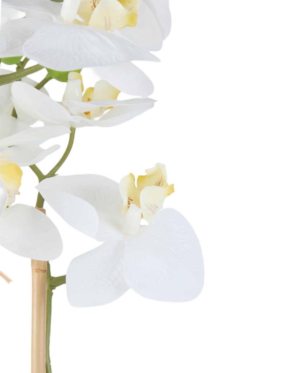Preelaborado de orquídea 5