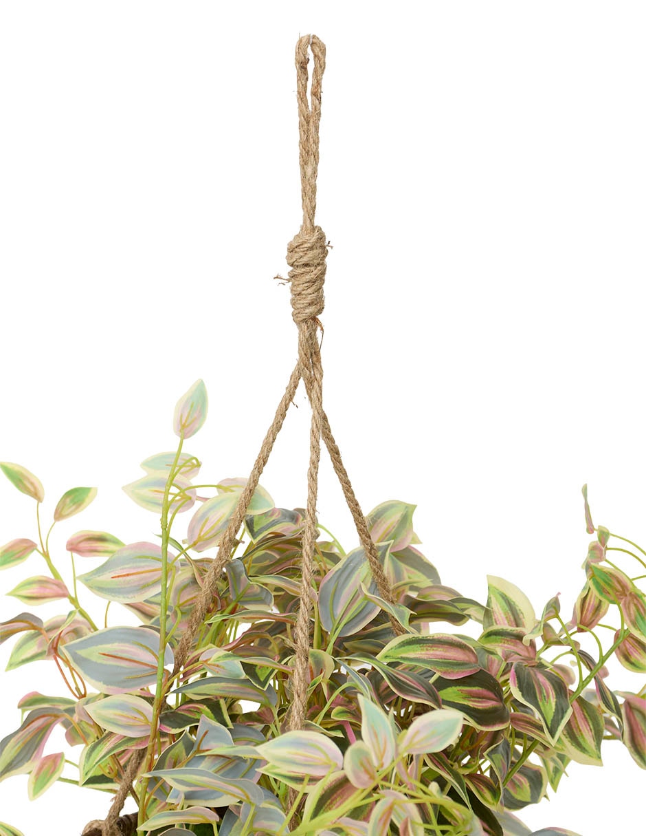 Zebrina artificial 4