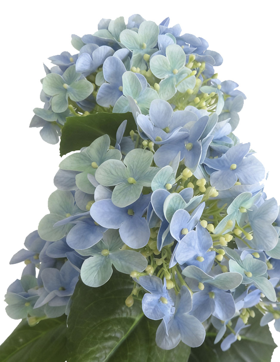 Hortensia artificial 3