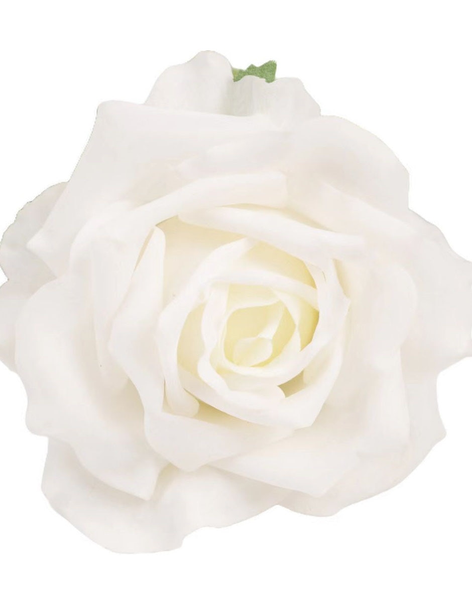 Rosa 3