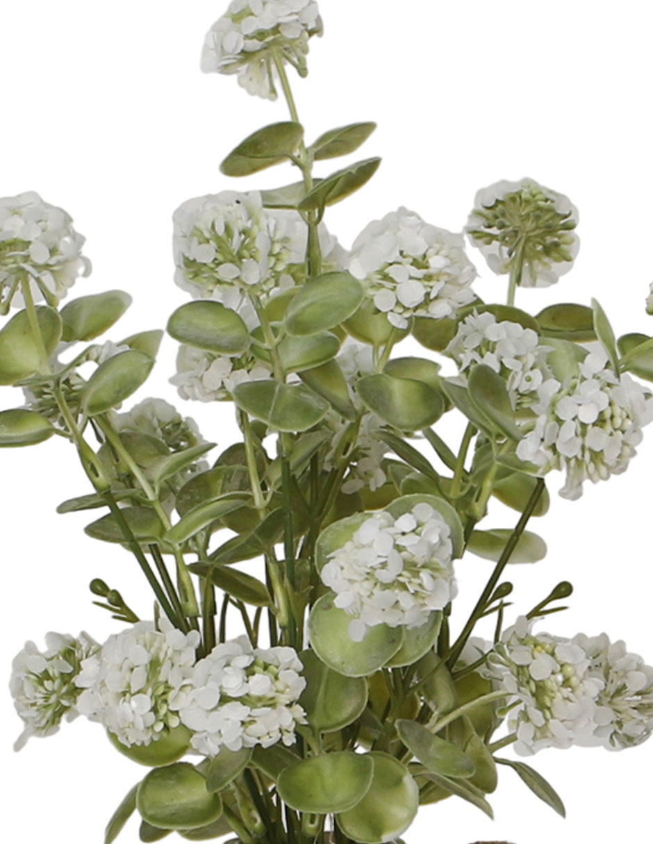 Preelaborado Hortensia 2