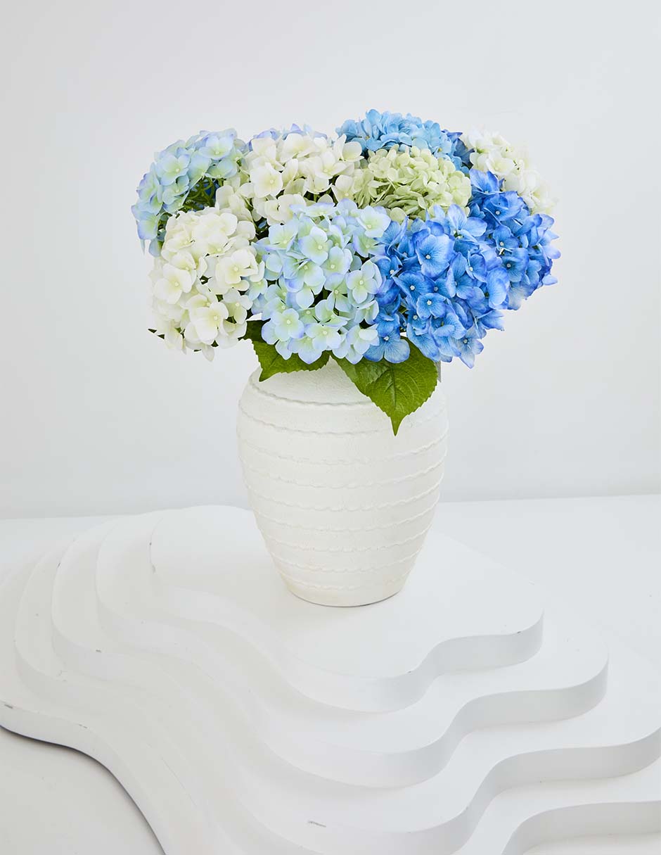 Hortensia 4