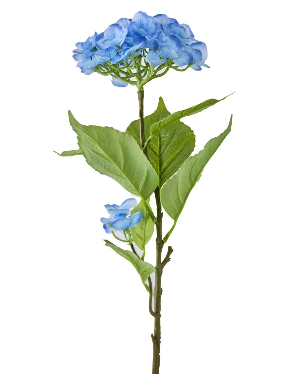 Ramo de hortensia 2