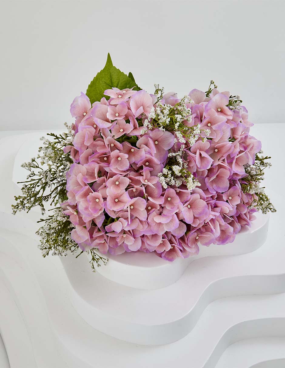 Hortensia 4