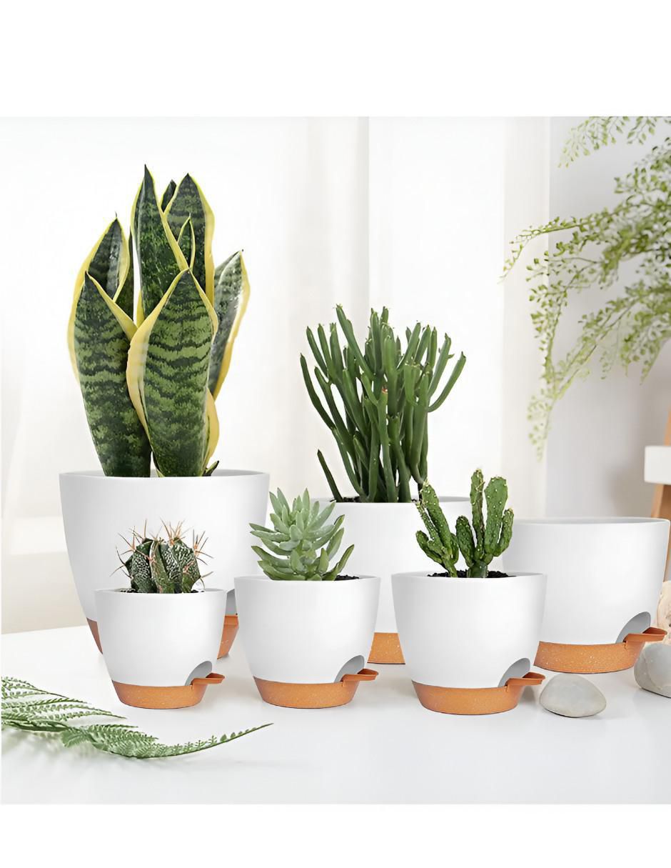 Set maceta de plástico 2
