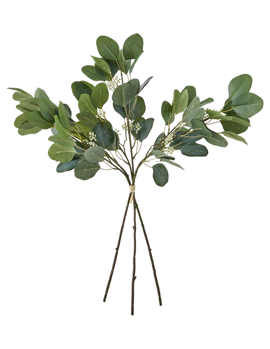 Eucalipto decorativo con acabado mate