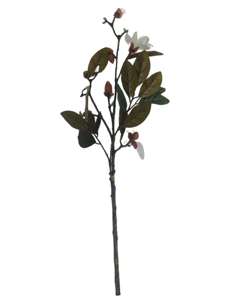 Magnolia decorativa 2