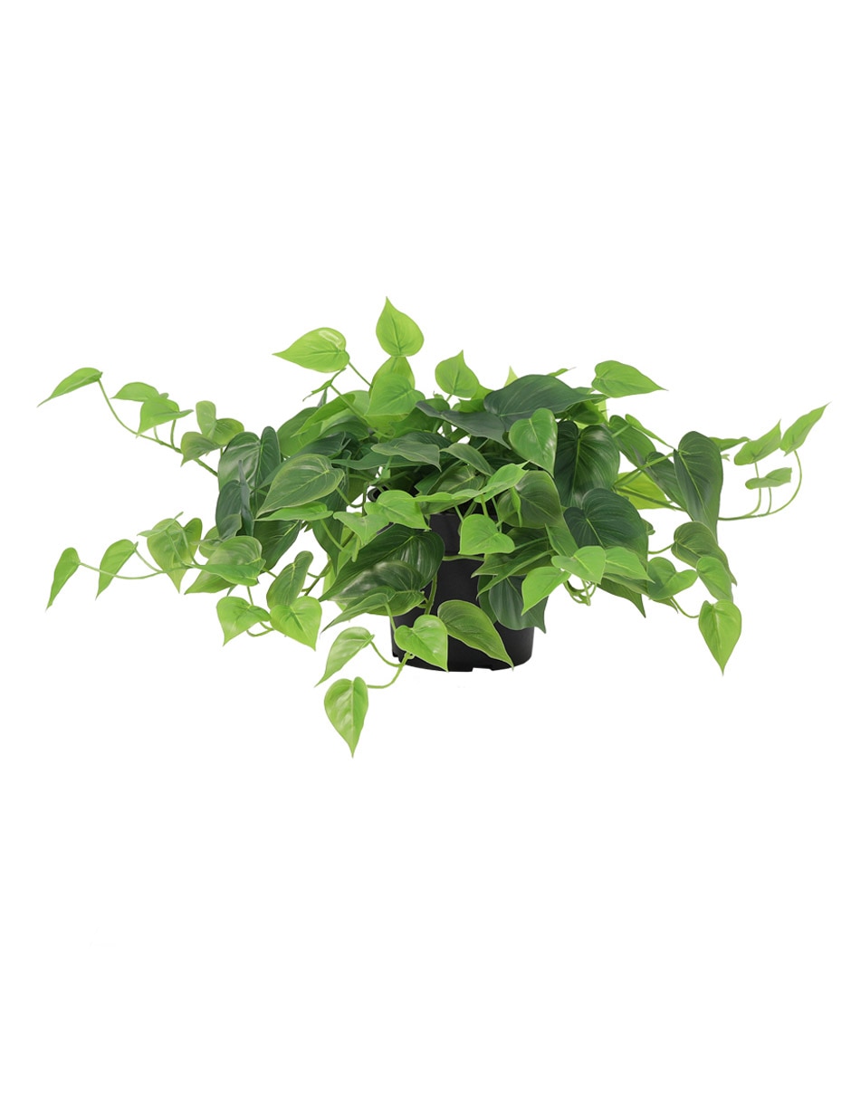 Split Philo artificial
