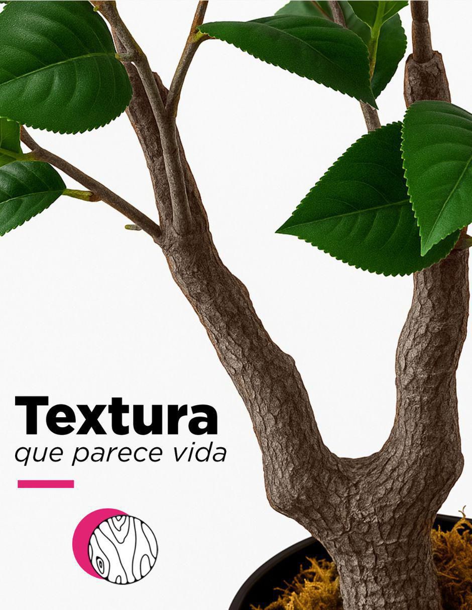 Árbol Camelia Naturalé 2