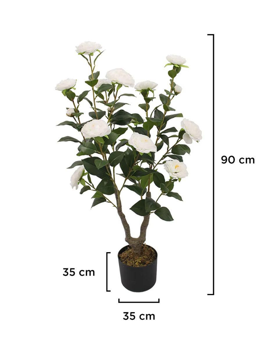 Árbol Camelia Naturalé 7