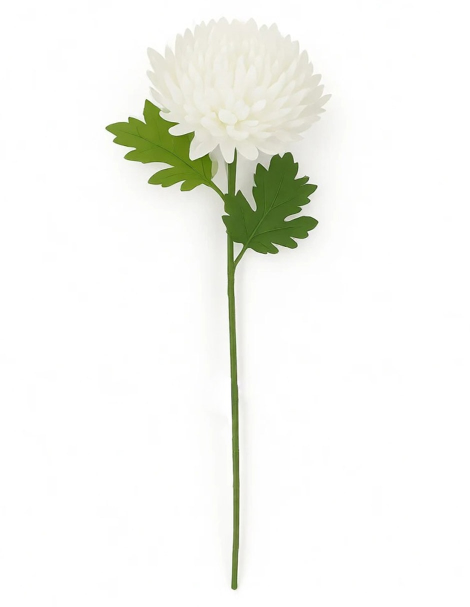 Flor de crisantemo