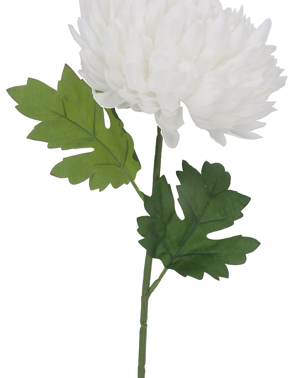Flor de crisantemo 3