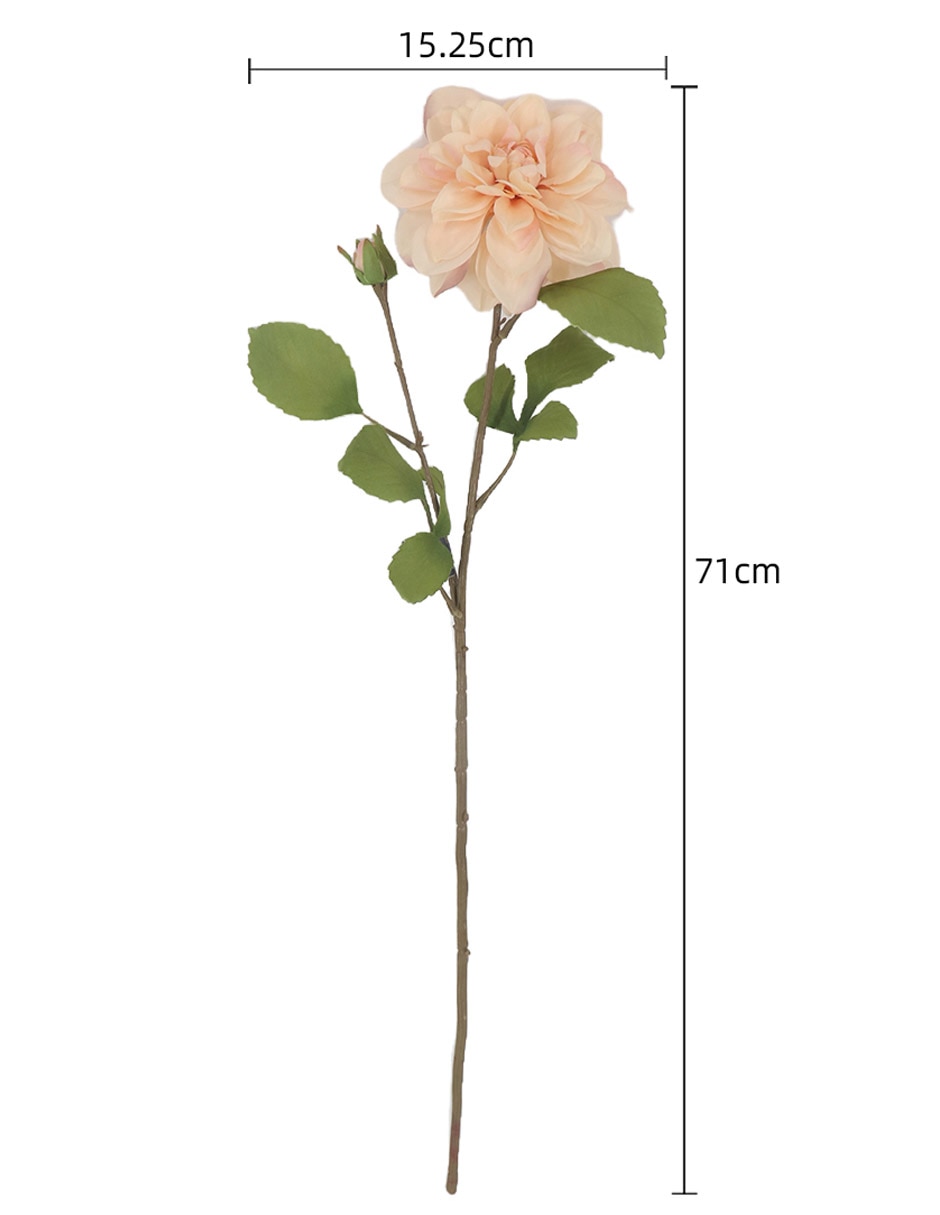 Flor de dalia 4