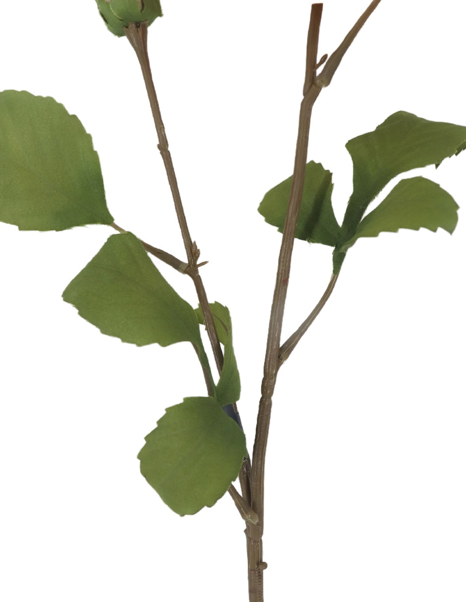 Flor de dalia 3