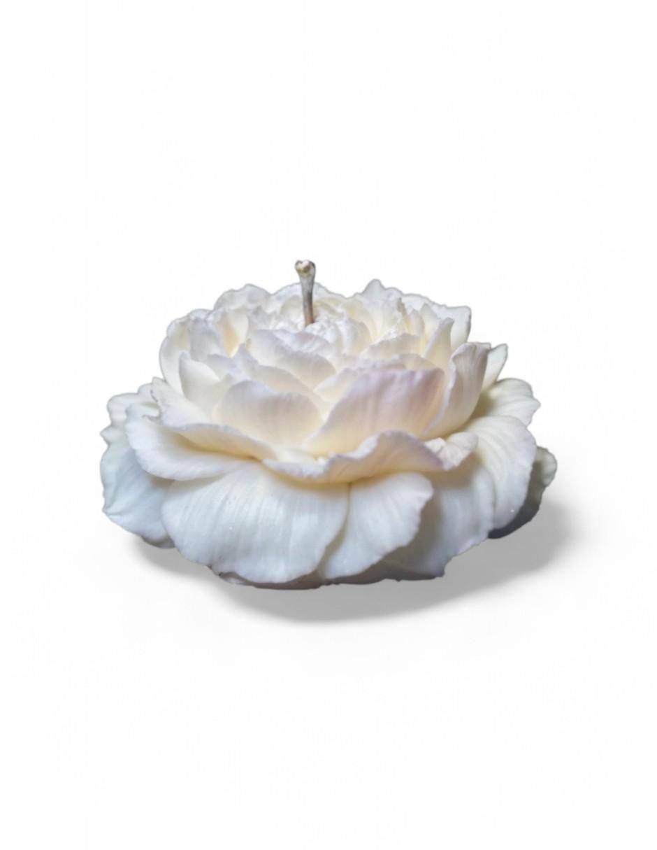 Kit de vela decorativa souvenir peonia 20 piezas aroma galleta Kit de vela decorativa souvenir peonia 20 piezas aroma galleta