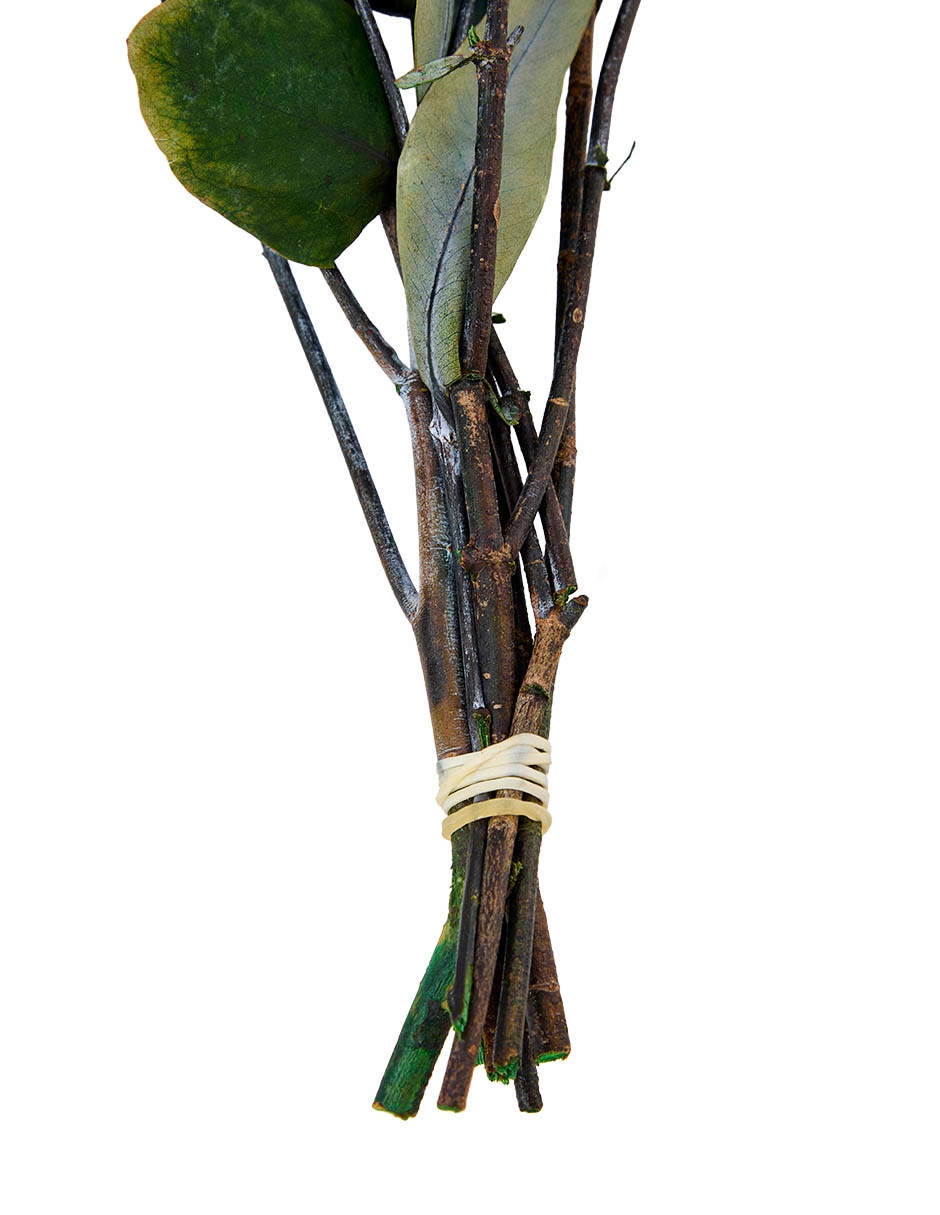 Eucalipto decorativo con acabado natural 4