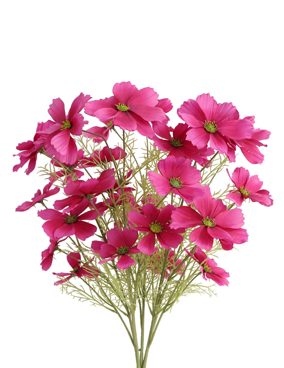Ramo de Daisy 2