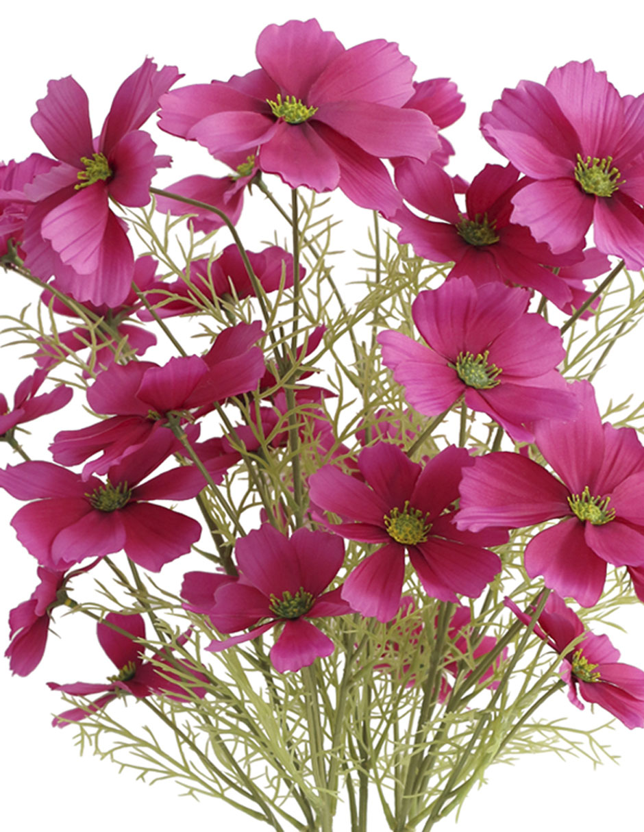 Ramo de Daisy 3