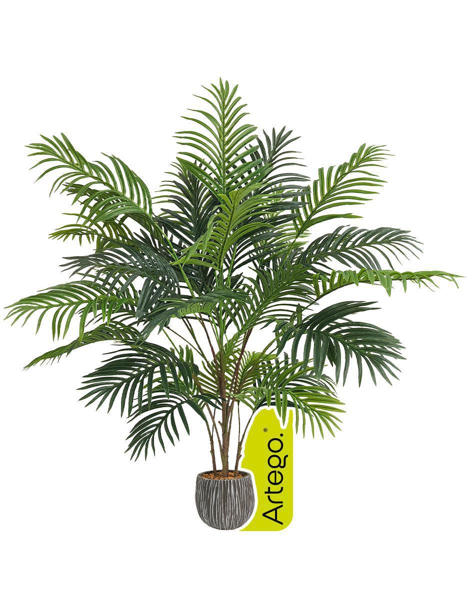 Árbol de palmera palmera Hawaii