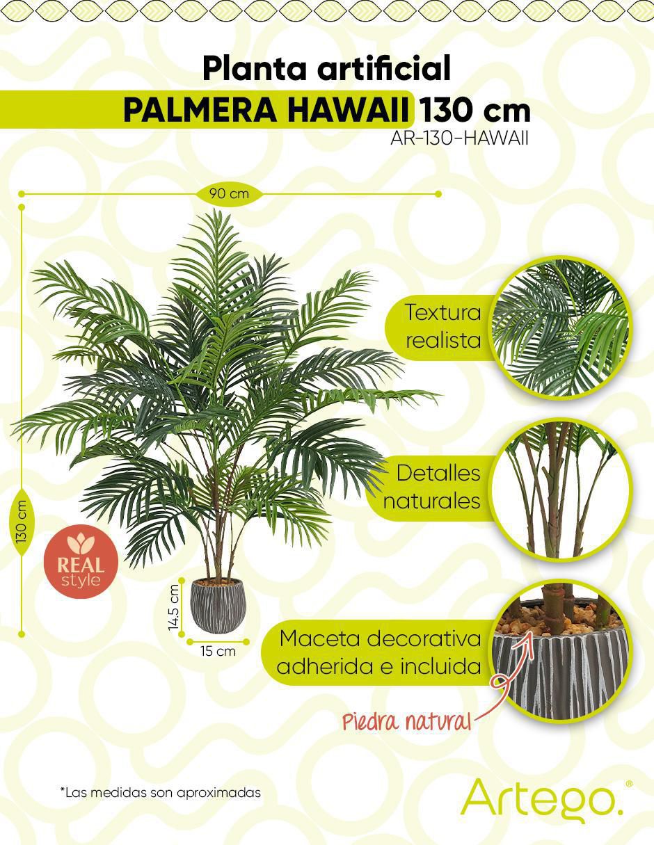 Árbol de palmera palmera Hawaii 9