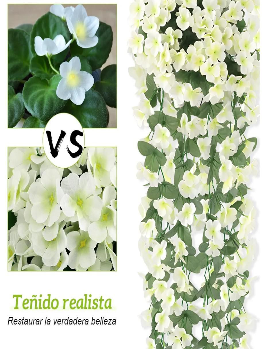 Ramo de Violeta 4