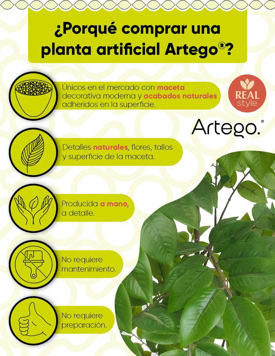 Árbol 2
