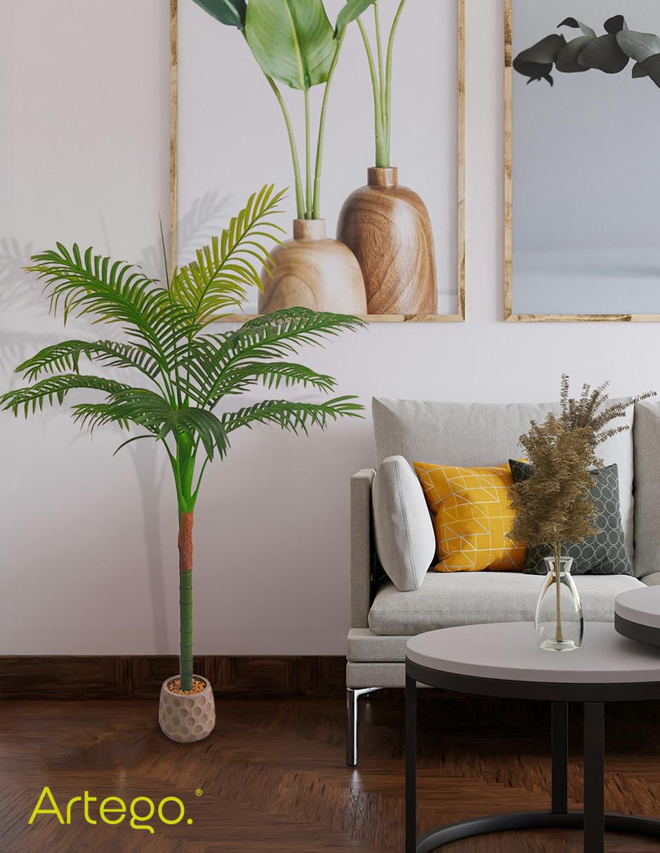 Planta Hawaii Amazona 7