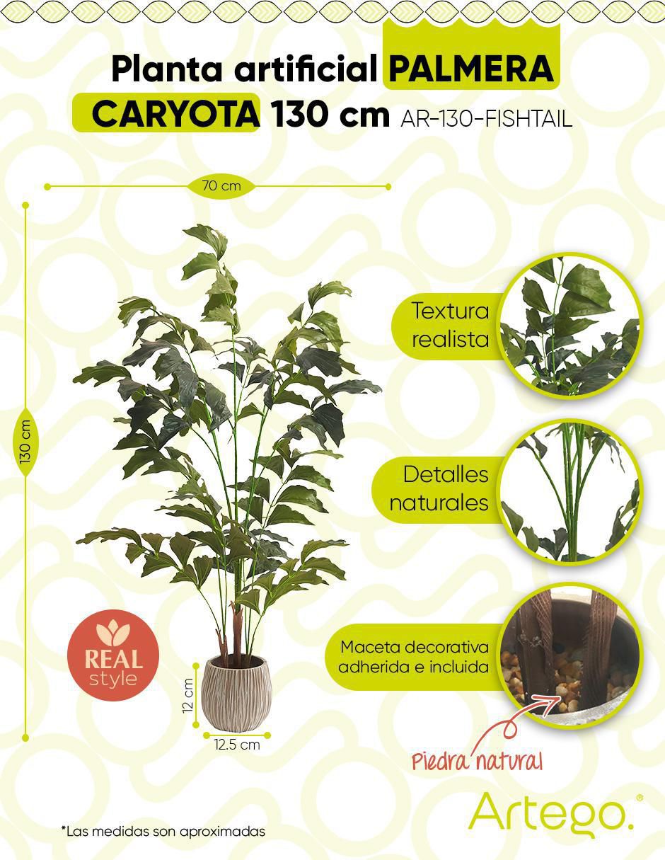 Planta Caryota Fishtail 9