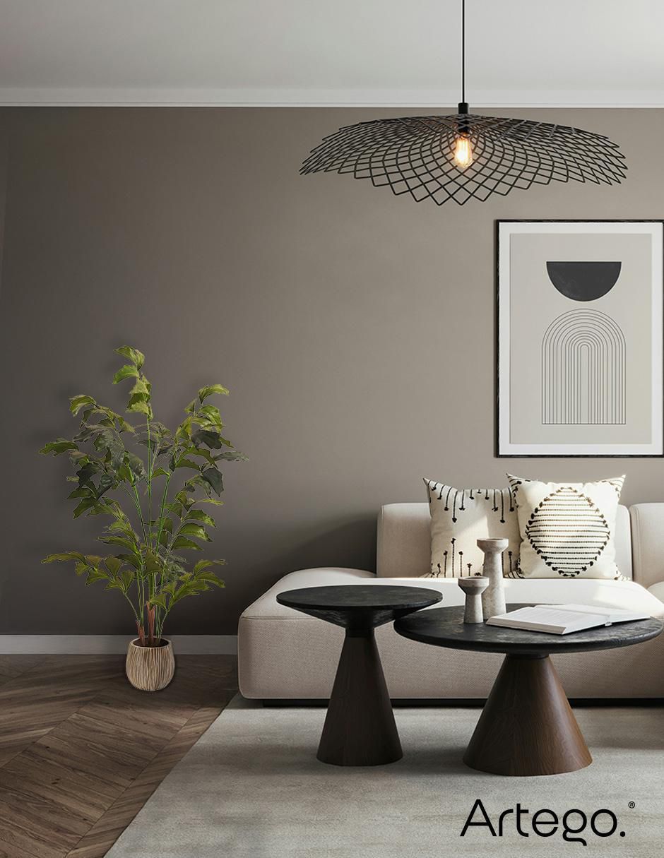 Planta Caryota Fishtail 5