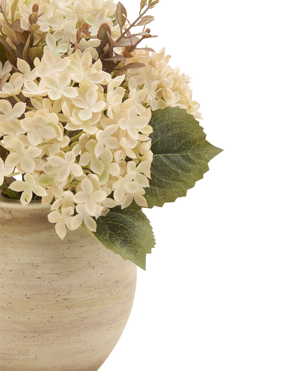 Flor de hortensia 2