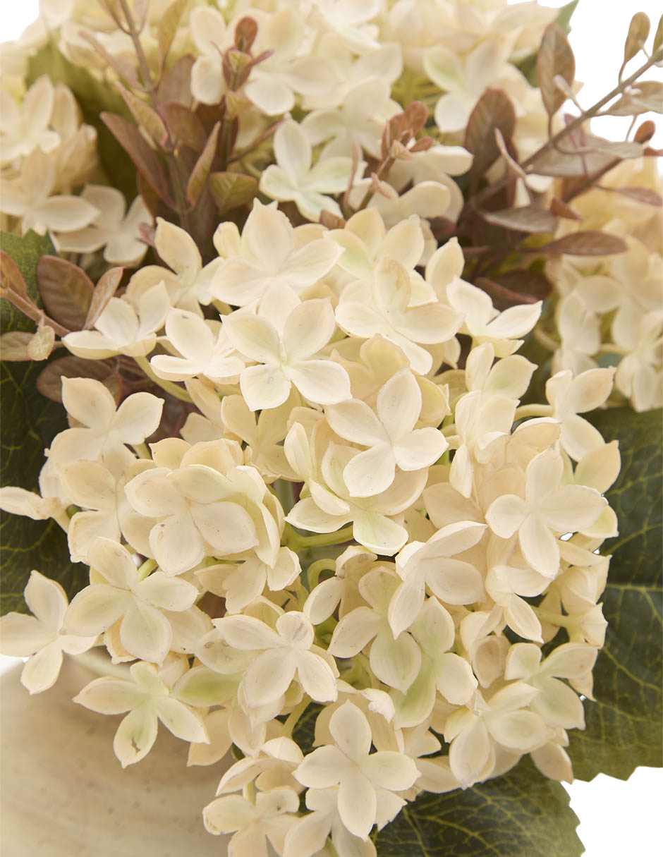 Flor de hortensia 5