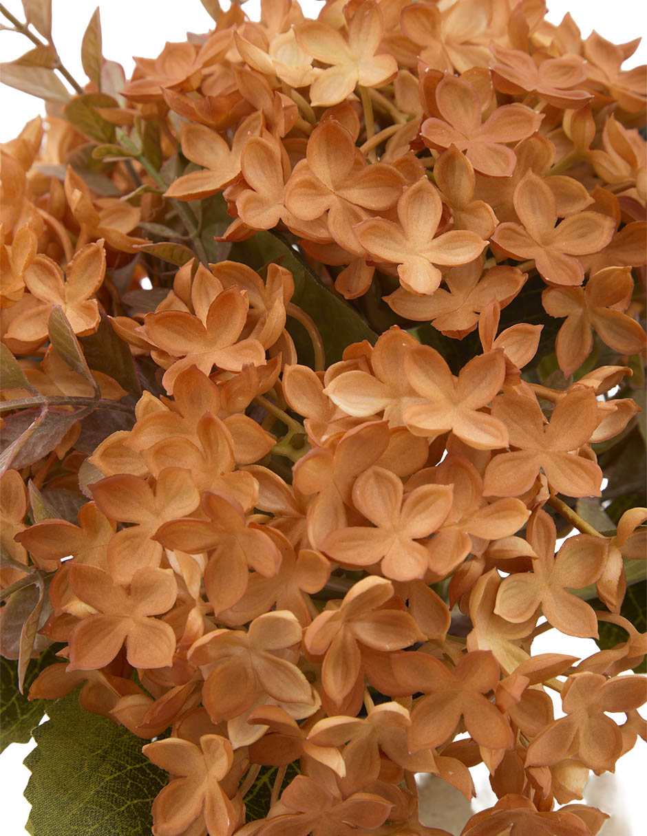 Flor de hortensia 2