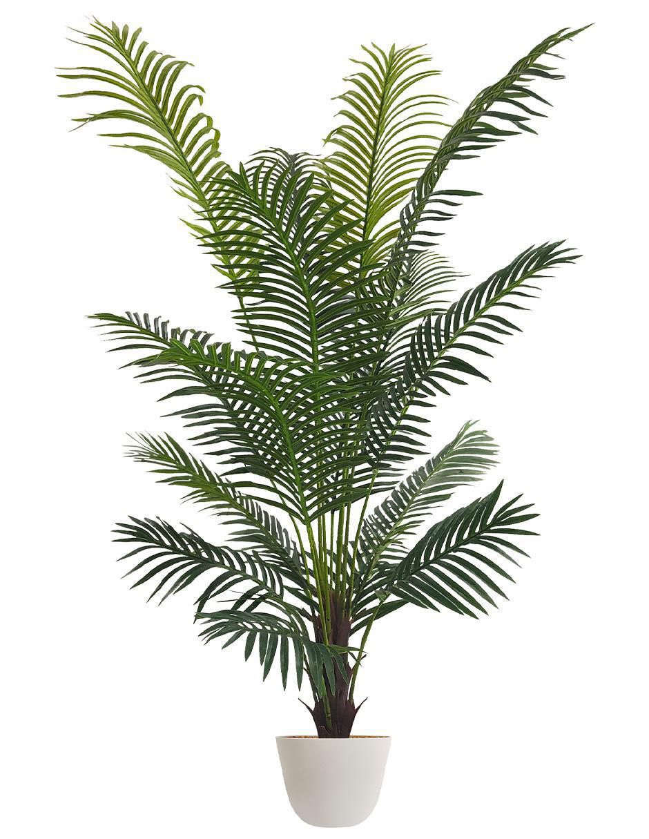 Planta Planta